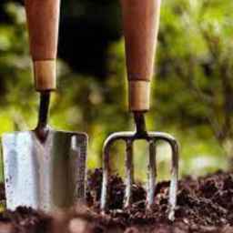 فروشگاه آریا