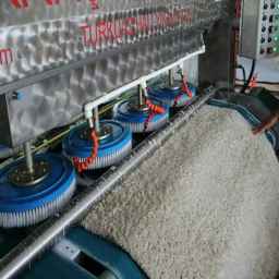 قالیشویی گلبهار