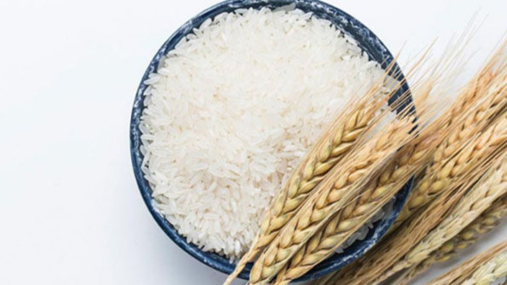 کارخانه تولید برنج عزیزان